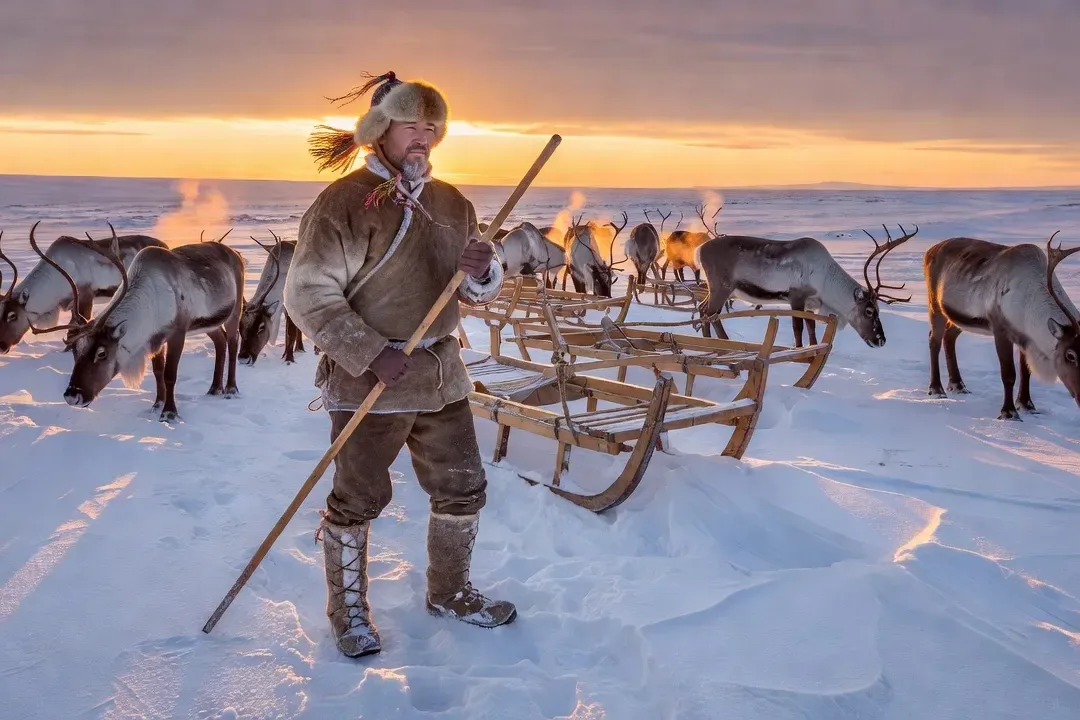 Éleveur de rennes Nentse en costume traditionnel, toundra enneigée du Yamal, traîneaux en bois, lumière rasante de coucher de soleil polaire